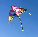 طياره شراعيه للبحر