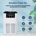 فلتر سجاير