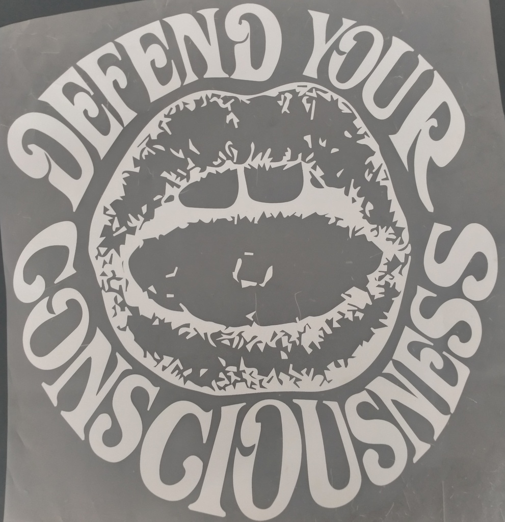 Defend your Consciousness  print
