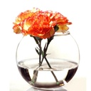 فازه بغطاء فل