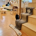 Tom Fluffy Bedroom Rug