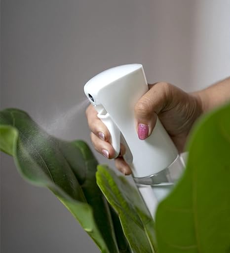 بخاخ زجاج للزيت والخل والسوائل 200 ملي لأكل صحي