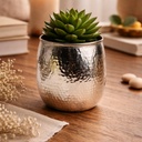 اصيص زرع بتصميم ديكوري مزخرف _ باللون الفضي