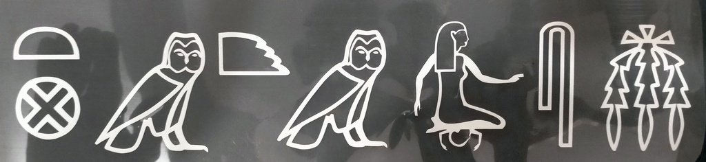 Born In Egypt in Hieroglyphic Print