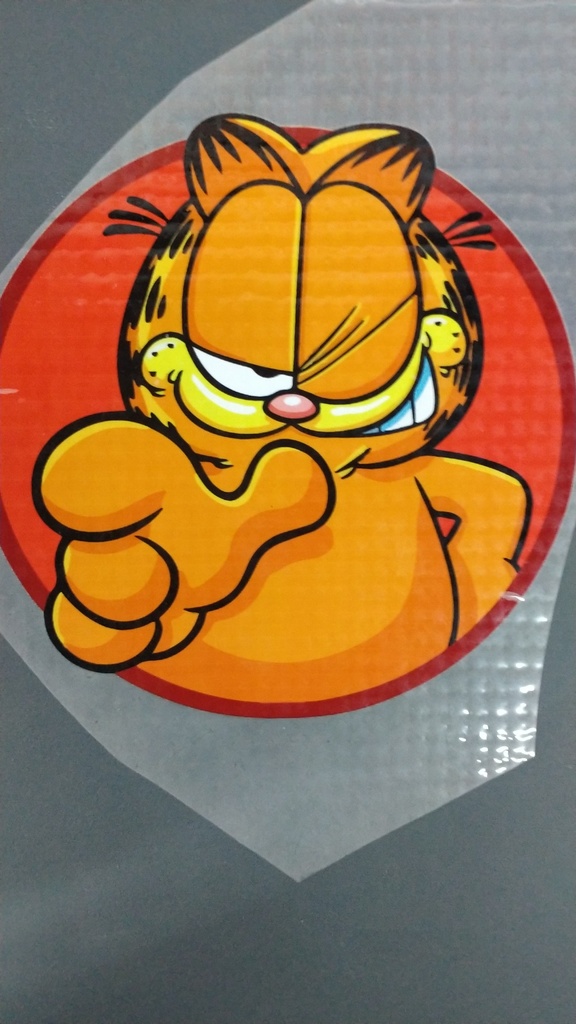 Garfield Cat  print
