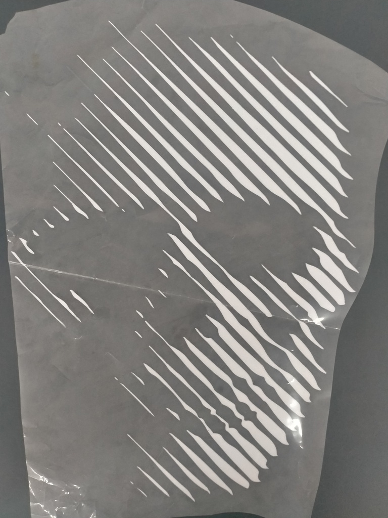 Skull Print Print