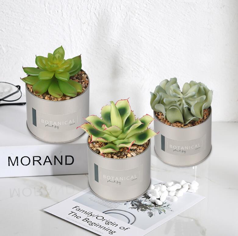 اصيص صبار صناعي صاج بأشكال مختلفة لتجديد ديكور البيت