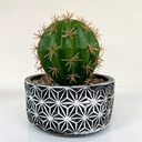 اصيص صبار صناعي من الفخار مزخرف باللون الابيض والاسود لتجديد الديكور