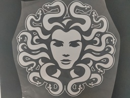 [HH00016456] Medusa print