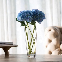 [HH00018961] فازة زجاج شفاف بتصميم كوب مقاس 10 * 26 سم