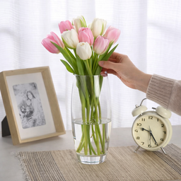 [HH00018962] فازة زجاج شفاف بتصميم بيضاوي الشكل مقاس 26 * 8 سم