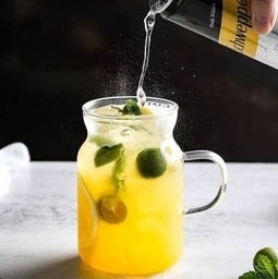 [HH00005642] ‎ ‎مج زجاج 300 ملي للمشروبات الساخنة والباردة بشاليموه ويد لسهولة الحمل