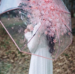 [HH00005727] شمسية شفافه بورود ورديه مبهجة للحماية من المطر قابله للطي لسهولة الحمل في الشنط